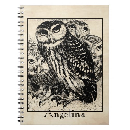 Owls Notebook