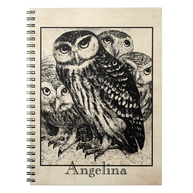 Owls Notebook (Front)