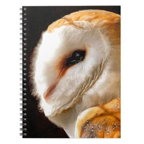 OWLS NOTEBOOK