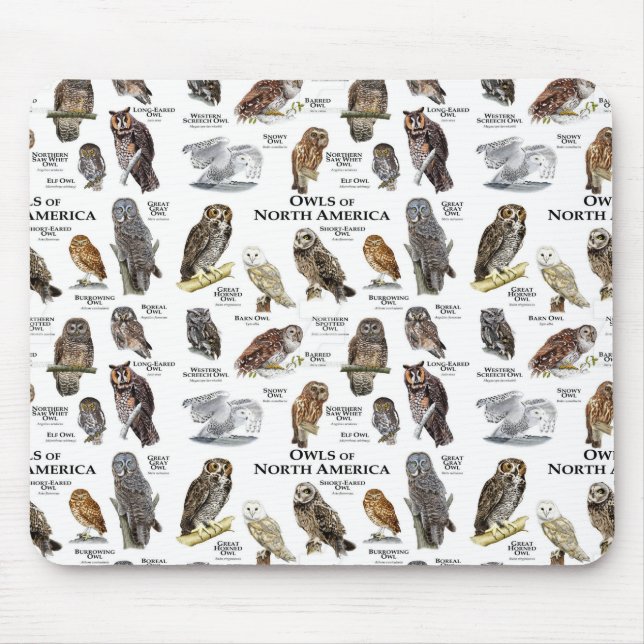 "OWL'S of North America" mouse pad (Front)