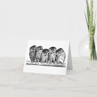 OWLS ON BRANCH NOTECARD