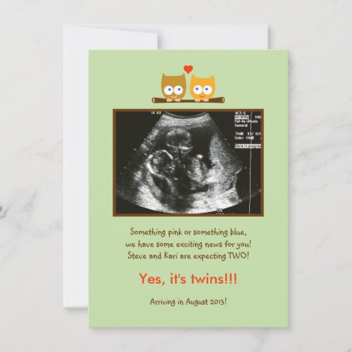 Owls Photo Pregnancy Announcement