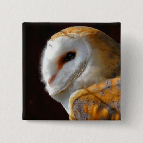 OWLS PINBACK BUTTON