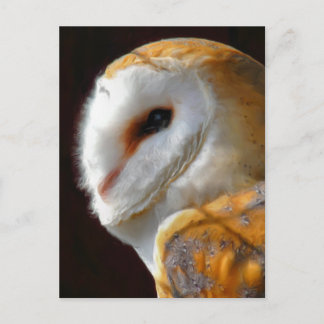 OWLS POSTCARD