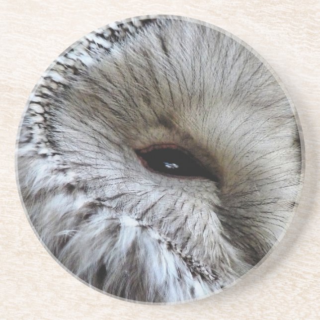 OWLS SANDSTONE COASTER (Front)