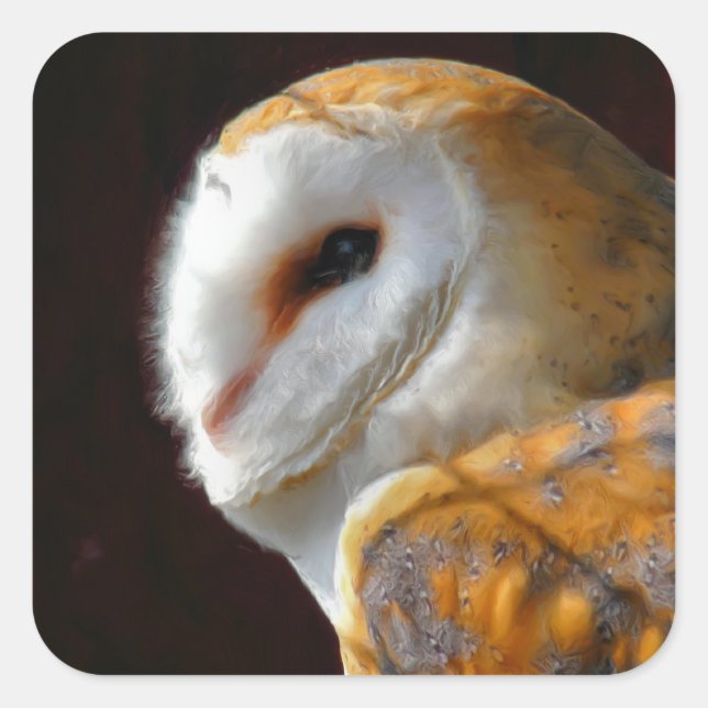 OWLS SQUARE STICKER (Front)