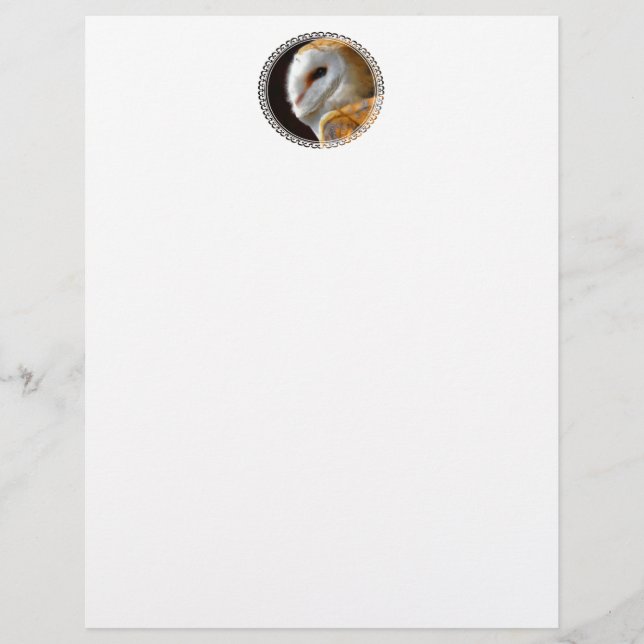 OWLS STATIONERY (Front)