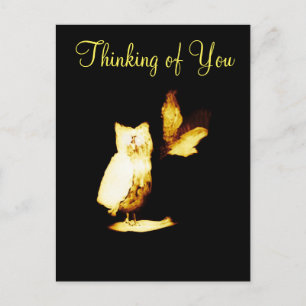 Owls Thinking of You Postcard