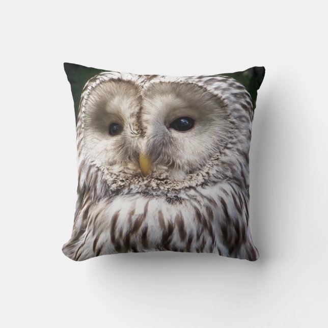 OWLS THROW PILLOW (Front)