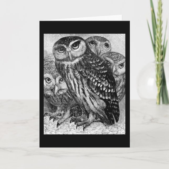 Owls, vintage engraving card (Front)