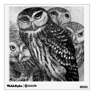Owls Wall Decal