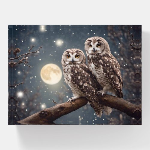 Owls With Full Moon Paperweight