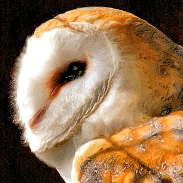 OWLS WRAPPING PAPER (A beautiful soft focus watercolour of a Barn Owl.)