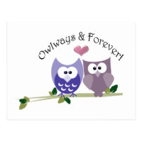 Owlways and Forever! Cute Owl design Postcard