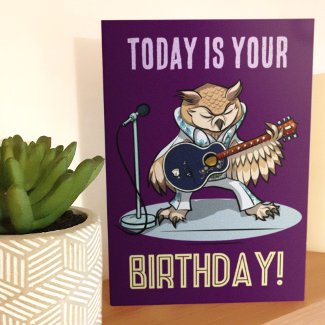 Owlways On My Mind Birthday Funny Owl Cartoon Birthday Card