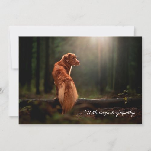 own dog photo image sympathy card