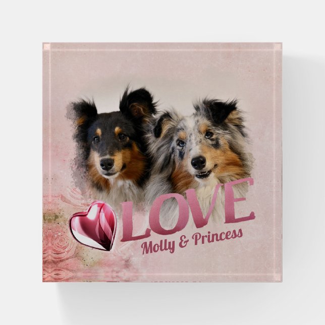 Own Pet Photo Keepsake, Pink Frame, Heart & Love - Paperweight (Front)