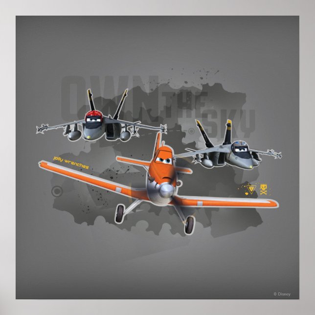 Own the Sky Poster (Front)