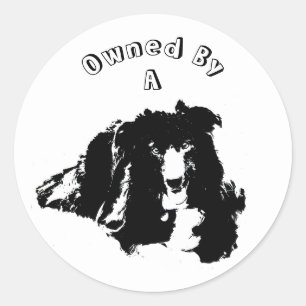 Owned By A Border Collie Cute Dog Classic Round Sticker