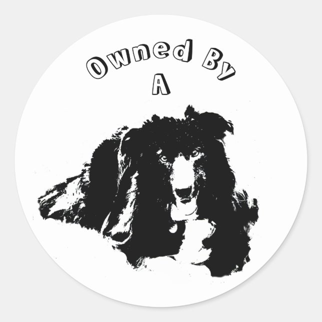 Owned By A Border Collie Cute Dog  Classic Round Sticker (Front)