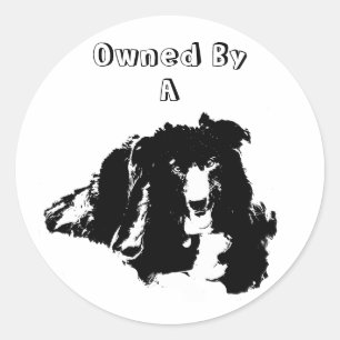 Owned By A Border Collie Funny Dog Sticker