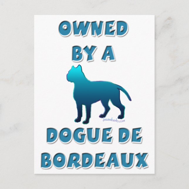 Owned by a Dogue de Bordeaux Postcard (Front)