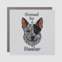 Owned by a Heeler (Blue)