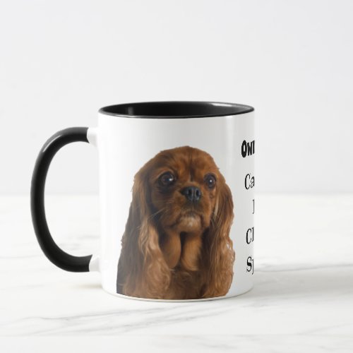 Owned By A Ruby Cavalier King Charles Spaniel Mug