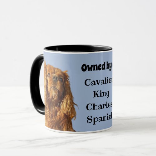 Owned By A Ruby Cavalier King Charles Spaniel Mug