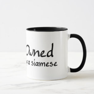 owned by a siamese mug