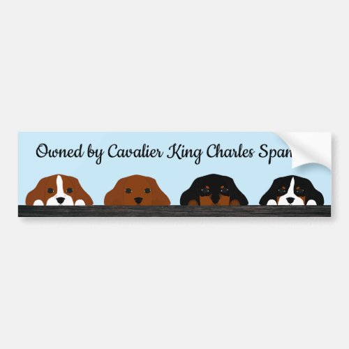 Owned By Cavalier King Charles Spaniels Bumper Sticker