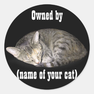 Owned by (name of your cat) classic round sticker