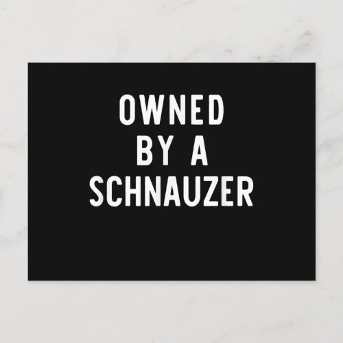 Owned By Schnauzer Funny Dog Lover Gift Christmas Announcement Postcard