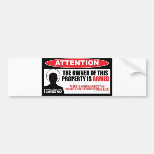 Owner Armed Warning 2nd Amendment Bumper Sticker