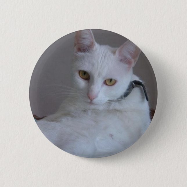 Owo's pets: Pitusa Button (Front)