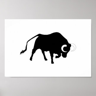 OX,moggy,cattle,cow,bullfight,corrida,horn Poster