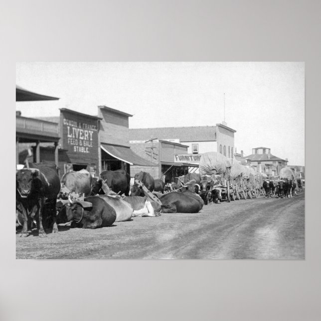 Ox Teams along Main Street of Sturgis Photograph Poster (Front)