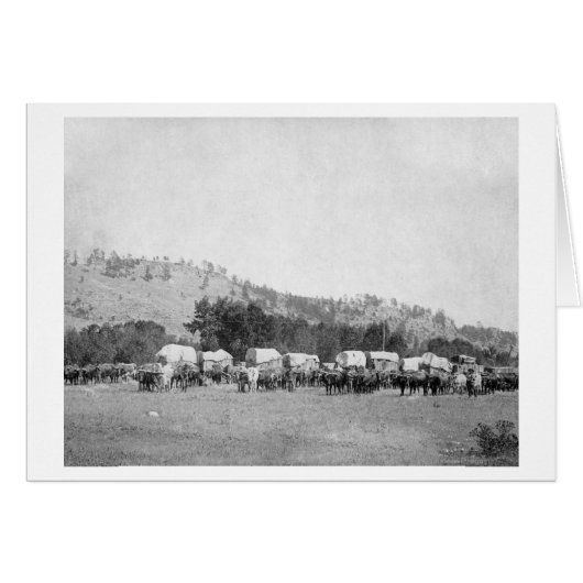 Ox Teams and Wagons in a Valley of the Black (Front Horizontal)