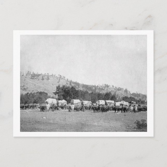 Ox Teams and Wagons in a Valley of the Black Postcard (Front)