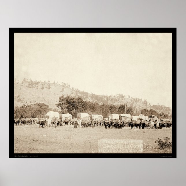 Ox Teams Freighting in Valley Black Hills SD 1887 Poster (Front)