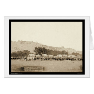 Ox Teams & Wagons Freighting Black Hills SD 1887 Cards