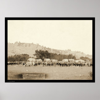Ox Teams & Wagons Freighting Black Hills SD 1887 Poster