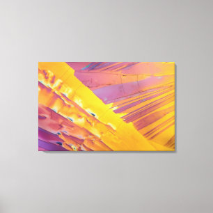 Oxalic Acid Crystals Canvas Print