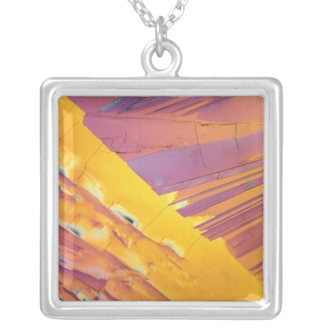 Oxalic Acid Crystals Silver Plated Necklace (Front)