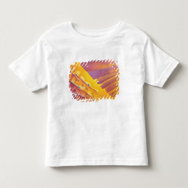 Oxalic Acid Crystals Toddler T-shirt (Front)