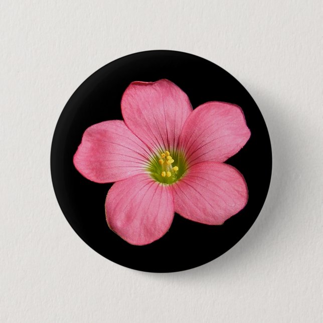 Oxalis flower ~ button (Front)