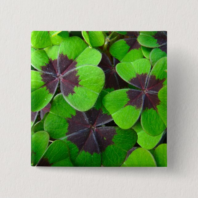 Oxalis Leaves - Red and Green Pinback Button (Front)
