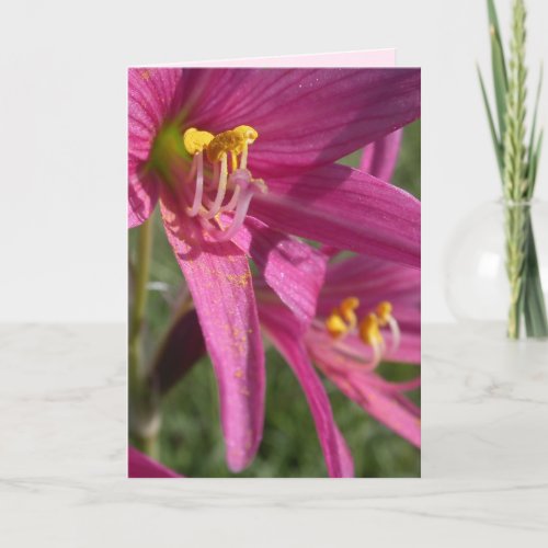 Oxblood Lily Card