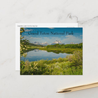 Oxbow Bend Grand Teton National Park Postcard