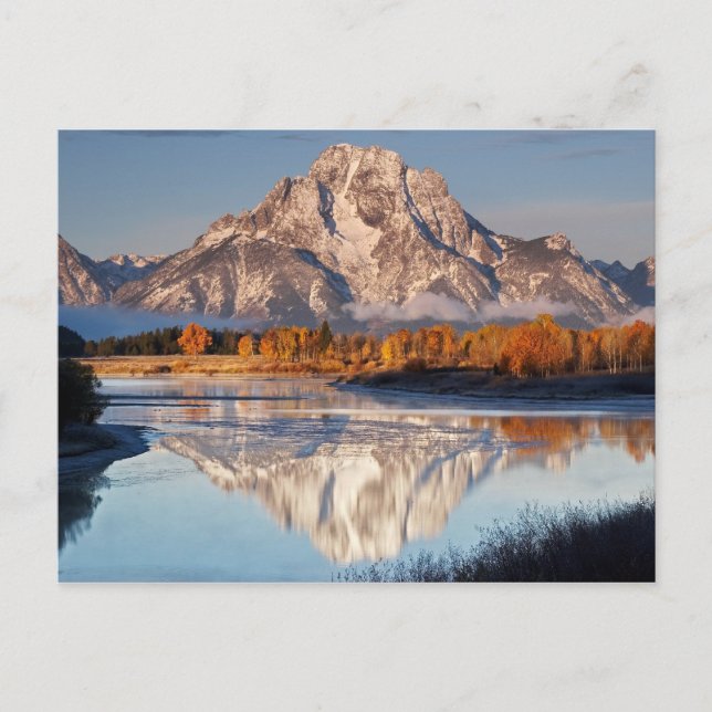 Oxbow Bend, Grand Tetons, in the morning light... Postcard (Front)